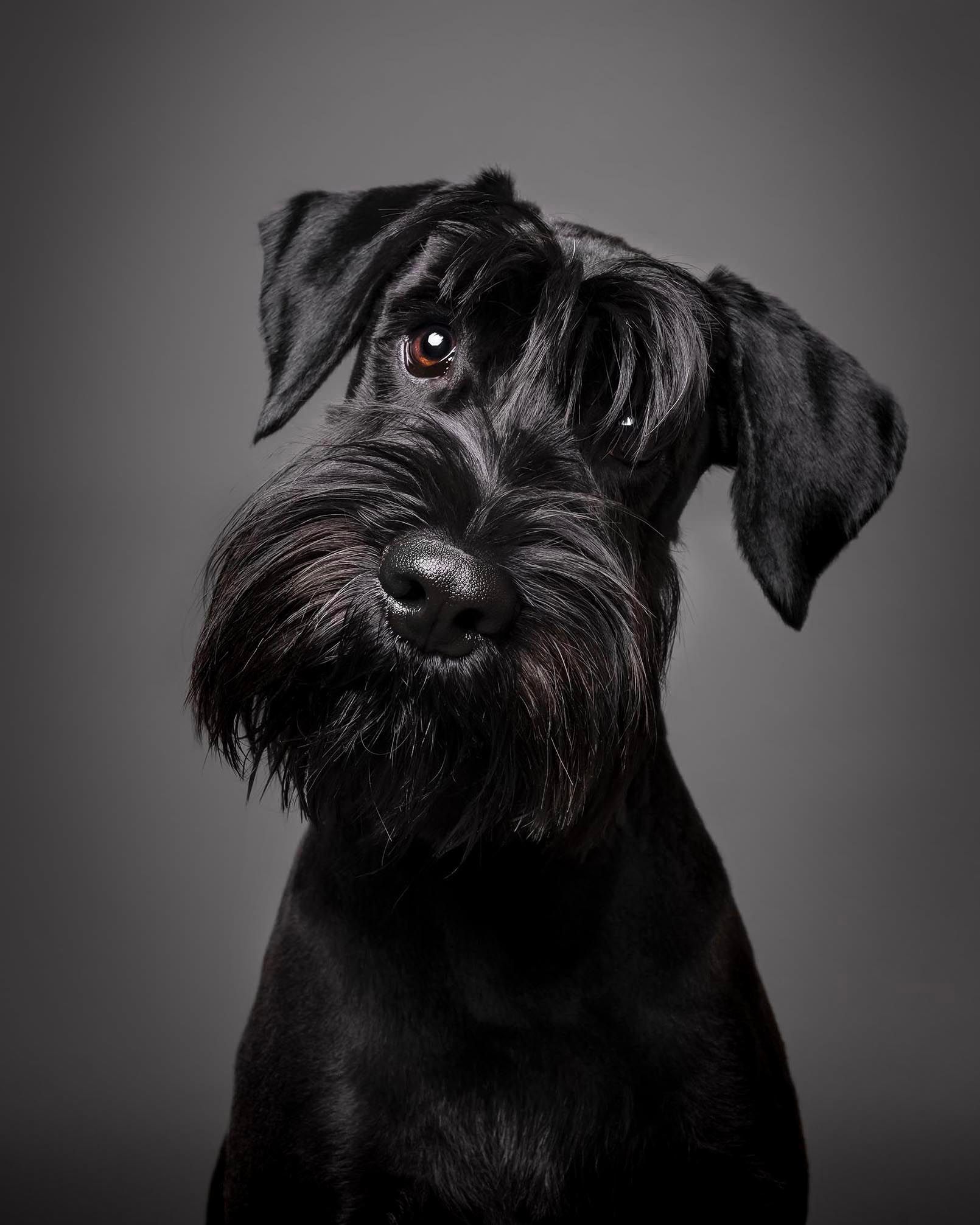 DSC_6361 copyR copy.jpg